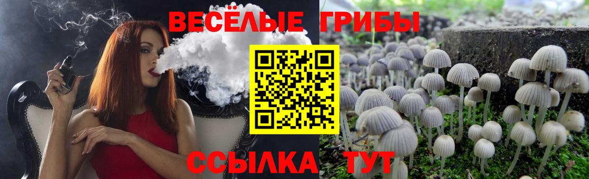 купить закладку  Вход с VPN  Тамбов  Галлюциногенные грибы Cubensis  Галлюциногенные грибы Cubensis 