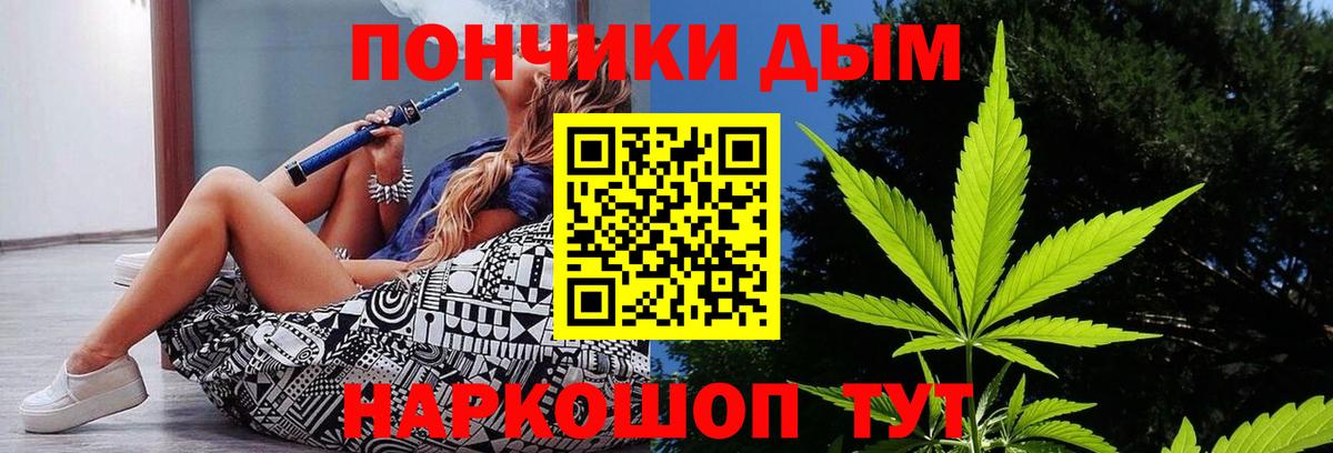 Шишки марихуана семена Тамбов